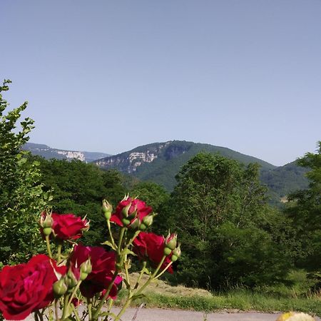 Au Chalet D'Anna Saint-Rambert-en-Bugey Exteriör bild