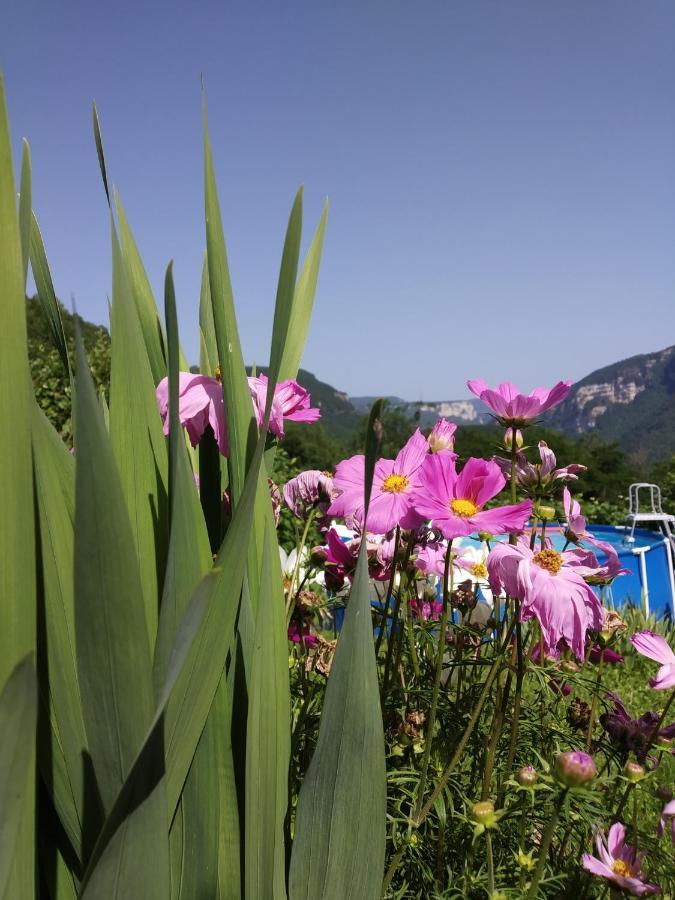 Au Chalet D'Anna Saint-Rambert-en-Bugey Exteriör bild
