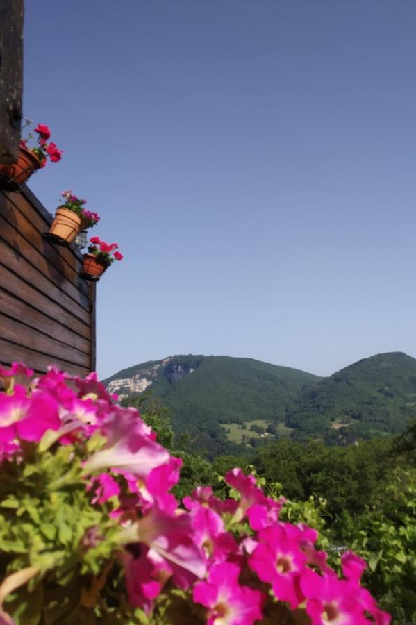 Au Chalet D'Anna Saint-Rambert-en-Bugey Exteriör bild